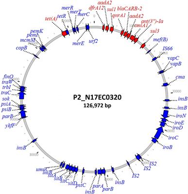 Diverse Fluoroquinolone Resistance Plasmids From Retail Meat E. coli in the United States